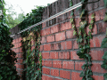20131118145551mur08