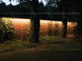20131118145841mur14