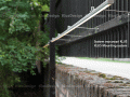 20131203113903mur11