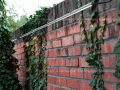 20131118145551mur08