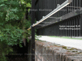 20131203113903mur11