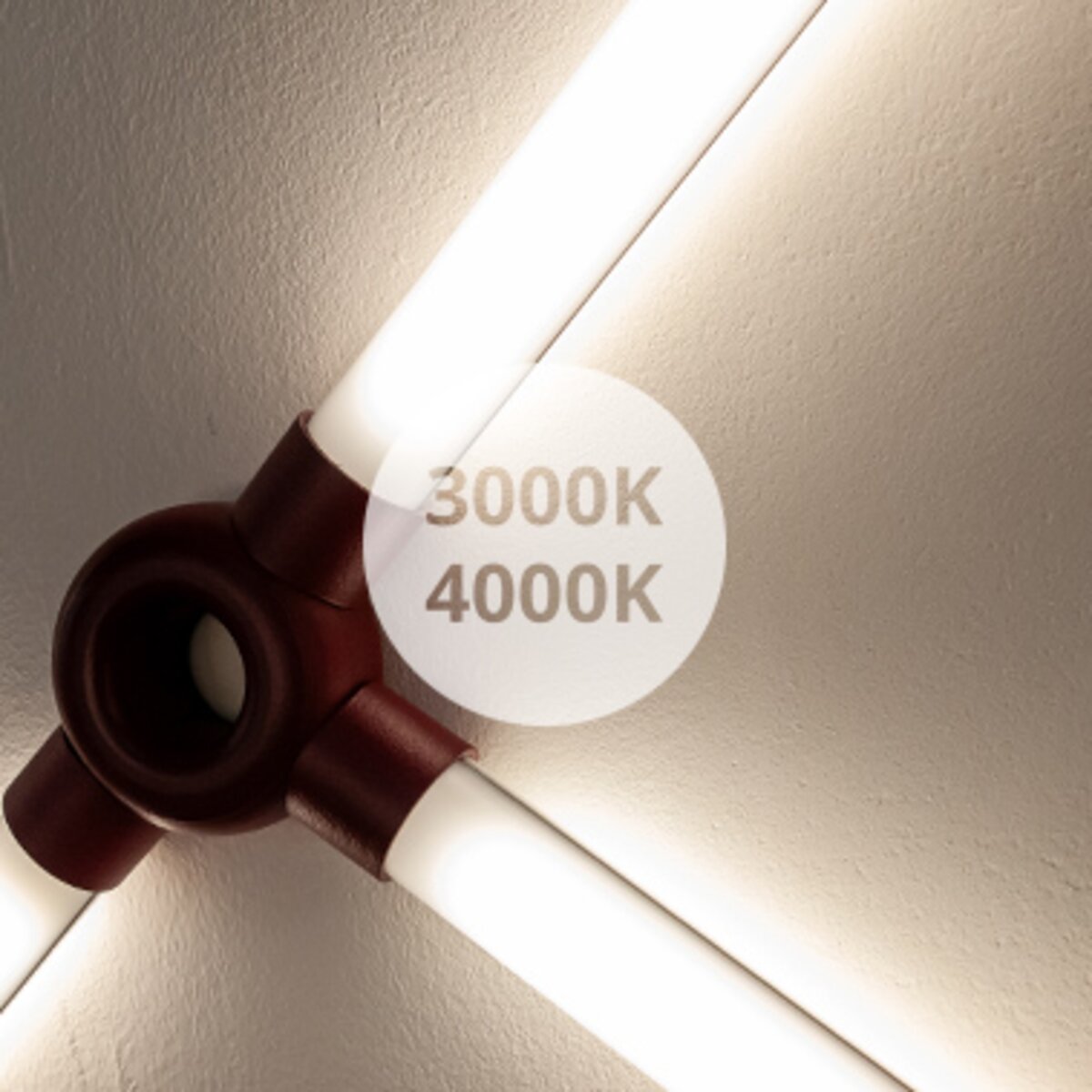 30004000_roll