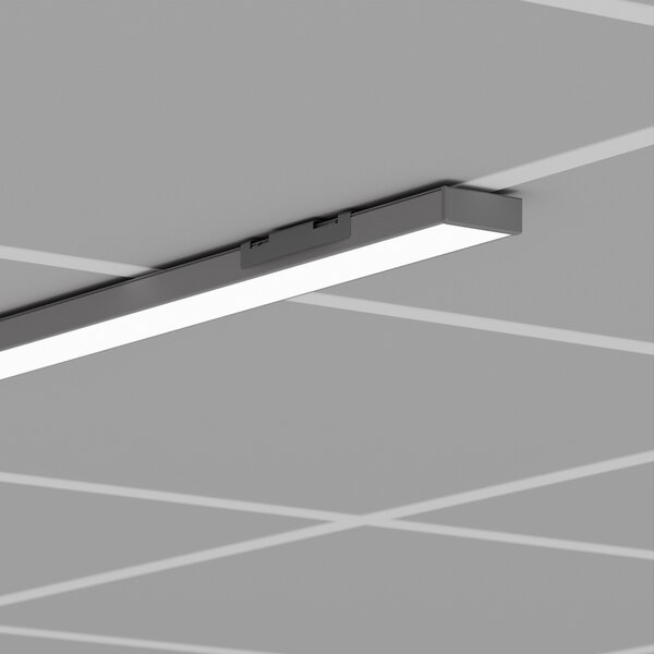 GIZA Extrusion
