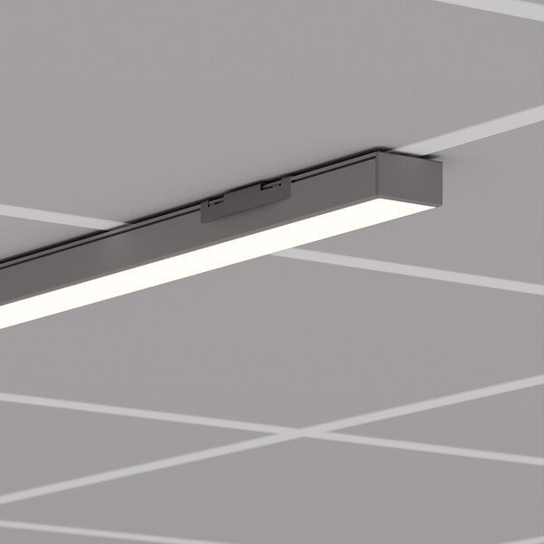 GIZA-LL Extrusion