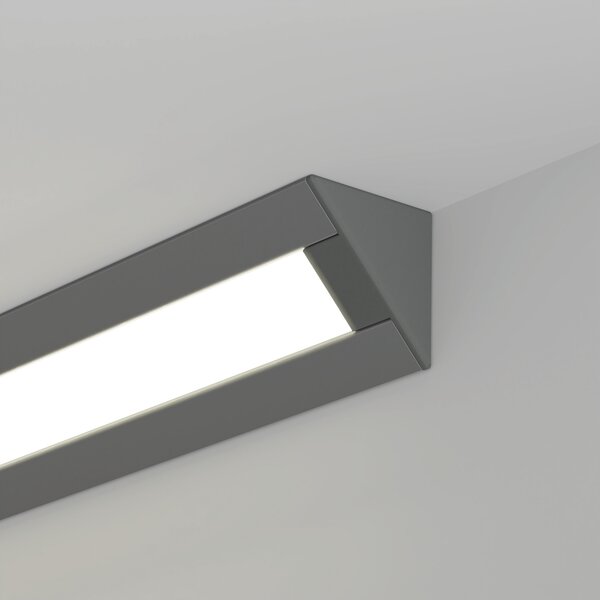 PAC-ALU Extrusion