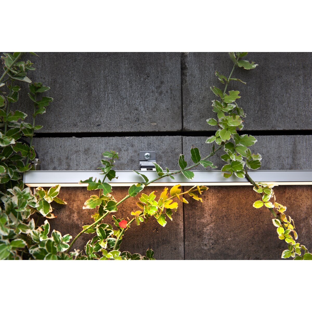 REGIP-EXT Mounting bracket