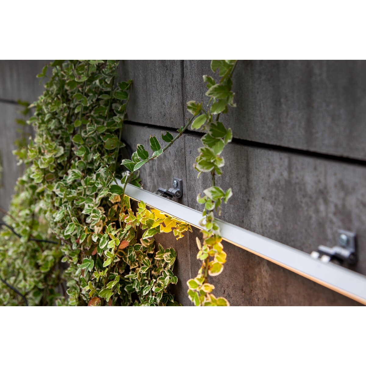 REGIP-EXT Mounting bracket